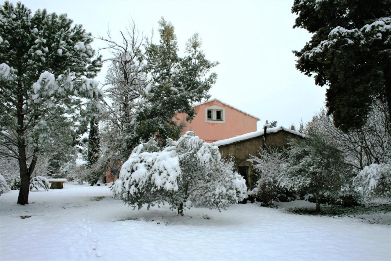 Bed and Breakfast Le Mas De La Cigale Bleue, Caumont Sur Durance Экстерьер фото